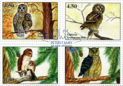 Tajikistan 2019 Forest birds Owls Set of 4 stamps MNH