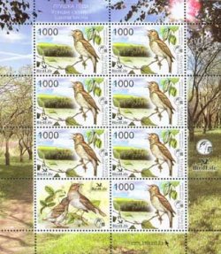 Belarus Belorussia Weissrussland 2007 Birdlife nightingale Sheetlet with label MNH