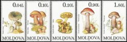 Moldova Moldavia 1995 Mushrooms Set of 5 stamps MNH
