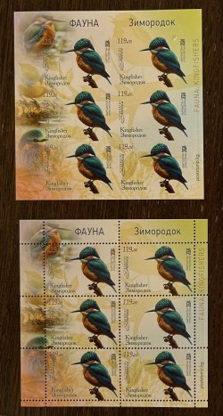 Kyrgyzstan 2025 Rare fauna Birds Kingfisher Set of perforated and imperforated block's MNH