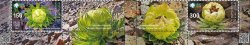 Kyrgyzstan 2025 XX International Botanical Congress in Madrid Flowers Alpine Saw-wort Set of 2 stamps with labels MNH