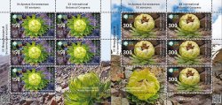 Kyrgyzstan 2025 XX International Botanical Congress in Madrid Flowers Alpine Saw-wort Set of 2 sheetlets with labels MNH