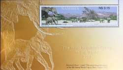 Namibia 2003 Fauna Elefants on Hoarusib river 8th most beautiful stamp in the World block MNH