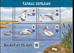 Kyrgyzstan 2017 WWF Birds Pelecanus erispus block of 4 stamps 2x2 from minisheet low part MNH