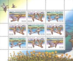 Russia 1995 Birds Ducks Sheetlet / block MNH