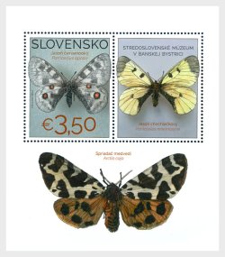 Slovakia 2025 Collection of Butterflies in the Museum of Central Slovakia Banská Bystrica Block MNH