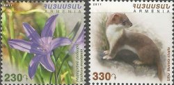 Armenia 2017 Rare flora and fauna Flowers and mammals Ixiolirion montana and weasel Set of 2 stamps MNH