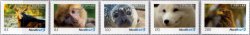 Germany 2025 Fauna of Zoo Neumünster Mammals and birds NordBrief Set of 5 stamps MNH