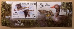 Belarus Belorussia 2009 Birdlife Birds grey goose stamp with label MNH