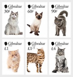 Gibraltar UK 2025 Mammals Cats Set of 6 sheetlets MNH
