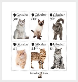 Gibraltar UK 2025 Mammals Cats Block MNH