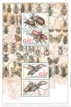 Slovakia 2014 Sitno National Nature Reserve Insects Set of 2 stamps with labels in block MNH