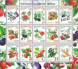Belorussia Belarus 2004 Definitives Berries Set of 15 stamps in block MNH