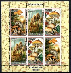 Tajikistan 2026 Mushrooms forest mammals block / sheetlet MNH