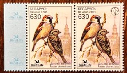 Belorussia Belarus 2003 Bird of the Year City Sparrow Rare strip with ordinary stamp and stamp without logo MNH