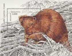 Belarus Belorussia Weissrussland 1996 Beaver block MNH