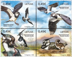 Lithuania 2018 Birds Nothern lapwings Set of 4 stamps in block 2x2 MNH