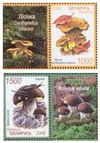 Belarus Belorussia 2008 Mushrooms Set of 2 stamps with labels MNH