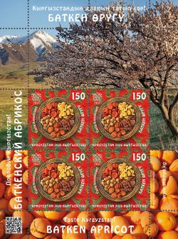 Kyrgyzstan 2026 National cuisine Batken Apricot Sheetlet with labels MNH