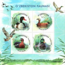 Uzbekistan 2026 Fauna Birds Ducks Set of 4 round stamps in block MNH