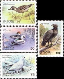 Belarus Belorussia 2000 Rare birds Set of 4 stamps MNH
