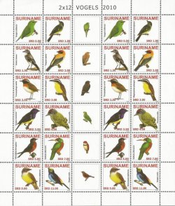 Surinam 2010 Birds sheetlet of 2 sets and all labels MNH