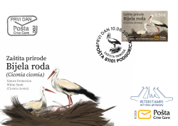 Montenegro 2026 Nature Protection Birds White Stork Ciconia ciconia FDC