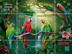 Russia 2026 Zoo Inhabitants Birds Parrots Set of 2 stamps in block MNH